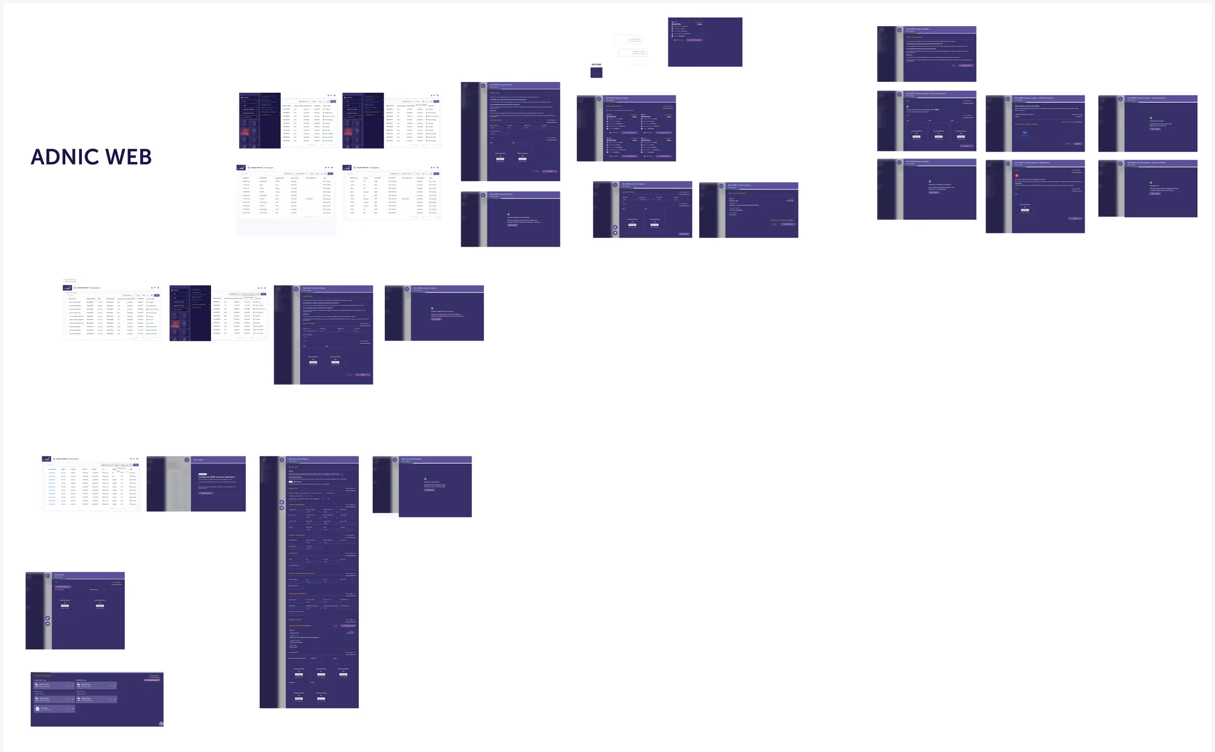 Original ADNIC Web screens scattered across the canvas
